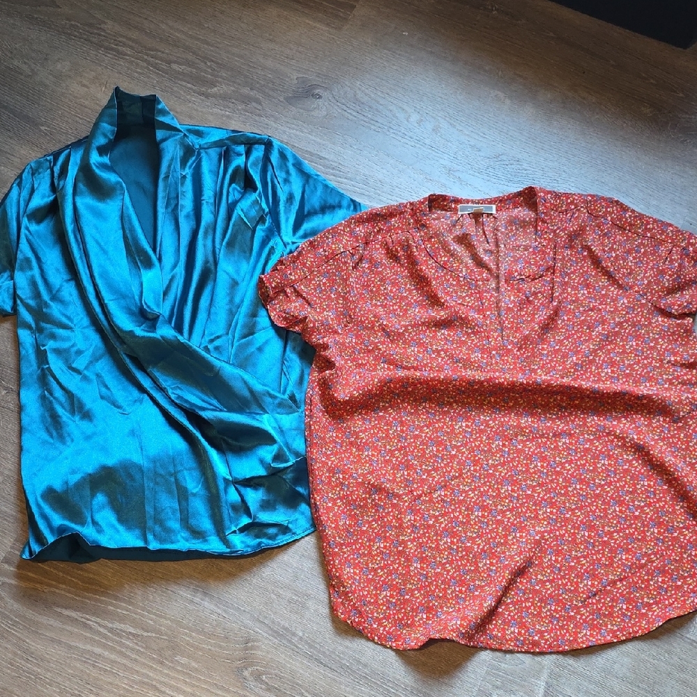 Pleione Teal Satin and Red Floral Tops